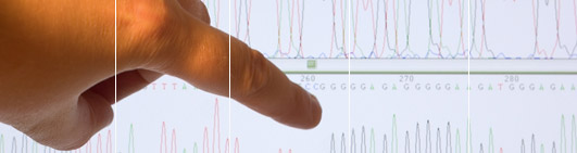 Glossary of terms for DNA testing