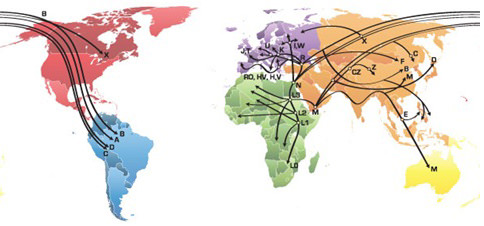 maternal lineage maternal lineage